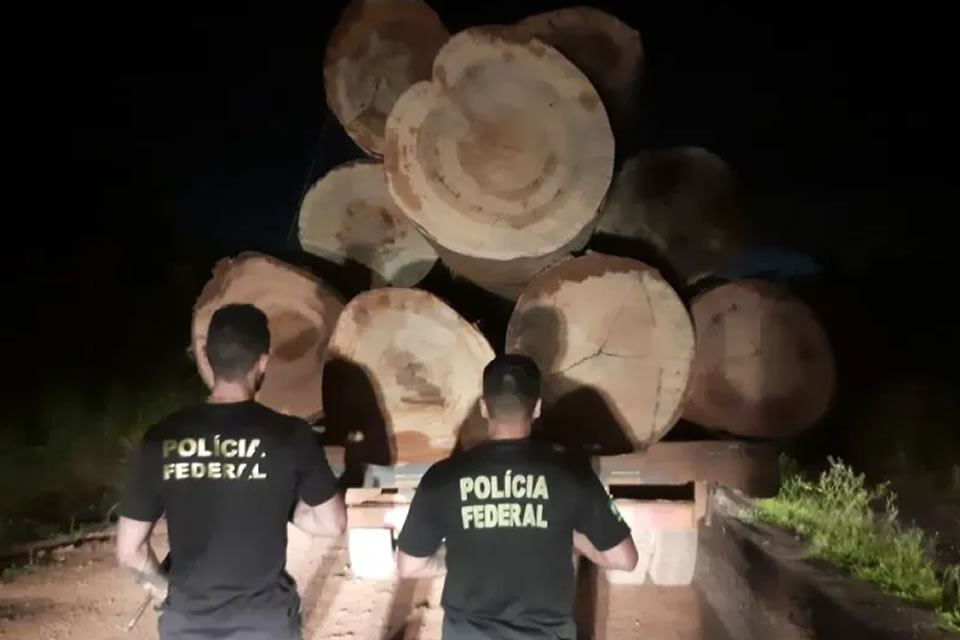 PF prende dois motoristas em ação contra extração ilegal de madeira de terras indigenas