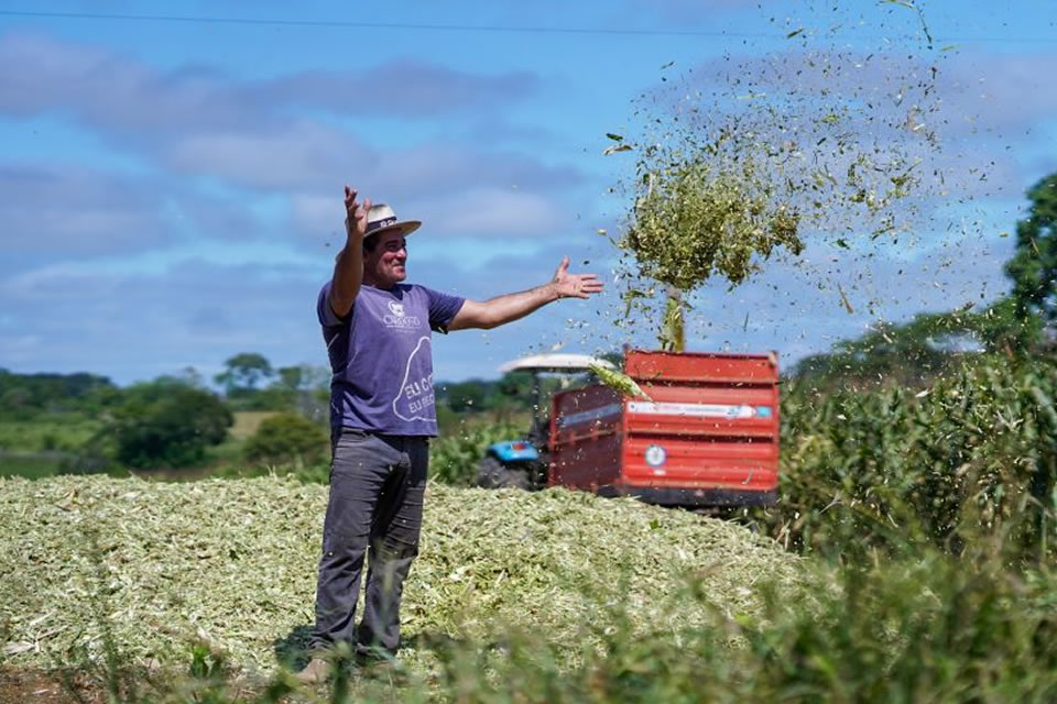 RO é Agro: calcário potencializa produção agrícola em Ji-Paraná