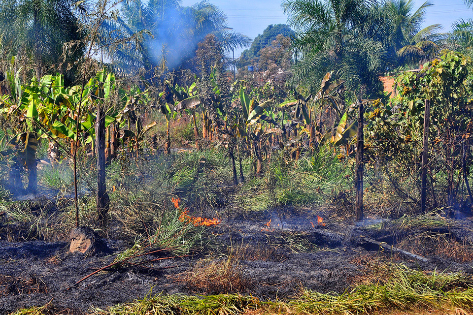 Governo de RO cria centro integrado para combater queimadas e incêndios florestais