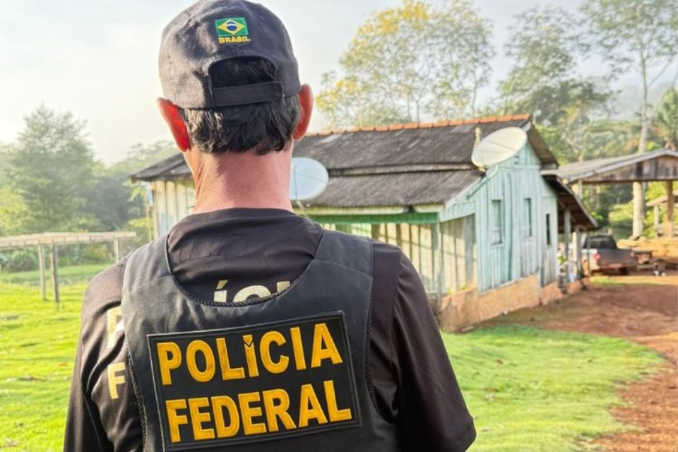 PF deflagra operação em combate a extração ilegal de madeira em Terras Indígenas