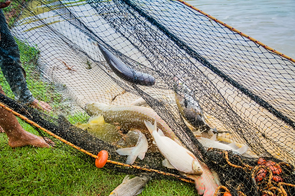 Período do defeso está em vigor em todo o Estado; pesca é proibida até março de 2021