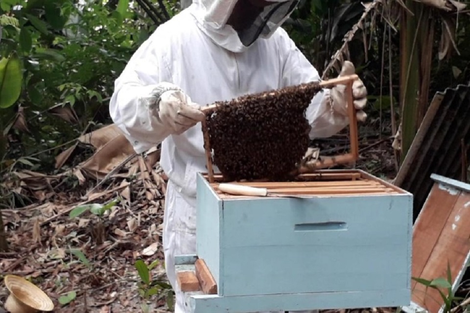 Programa prevê mais investimentos com responsabilidade técnica e ambiental