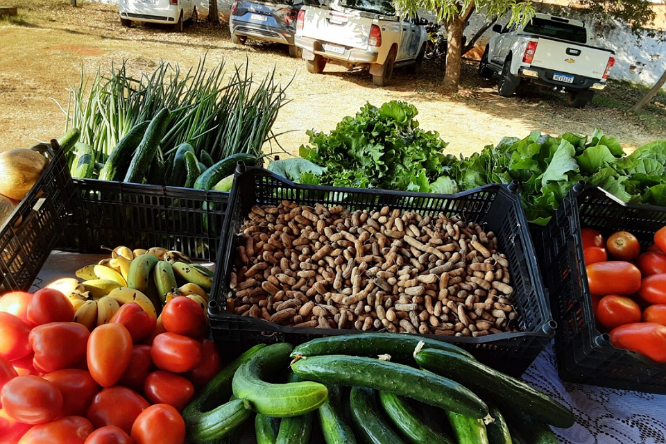 Programa de Aquisição de Alimentos do governo de RO beneficia agricultores familiares, na região do Cone