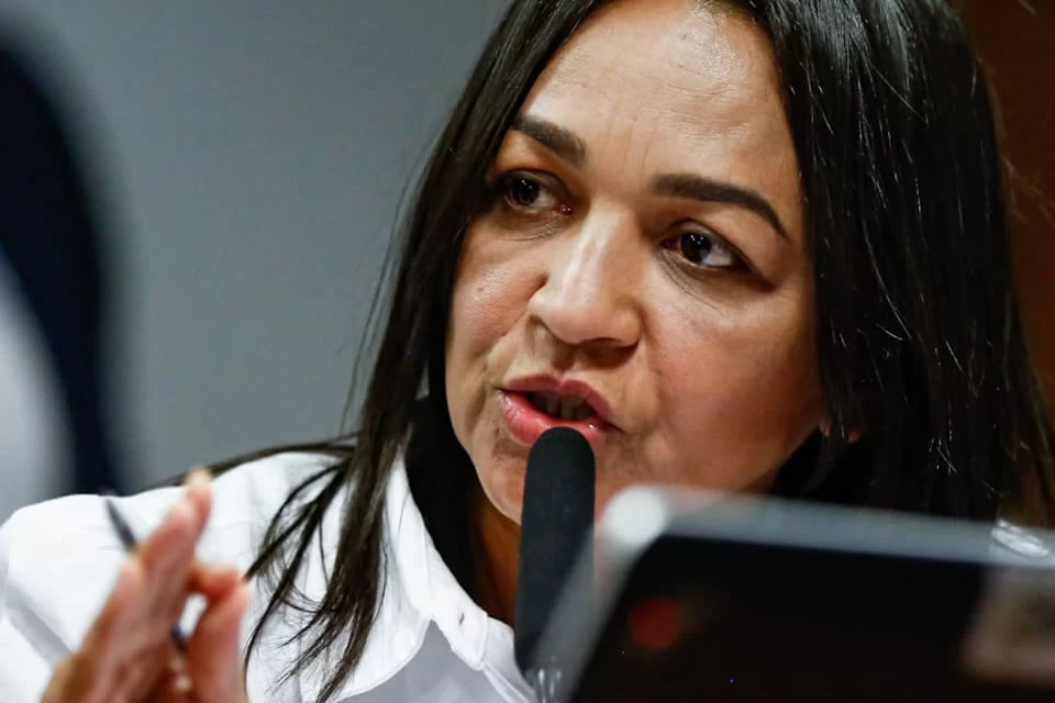 8/1: Eliziane pede indiciamento de Bolsonaro, Braga Netto e mais 54