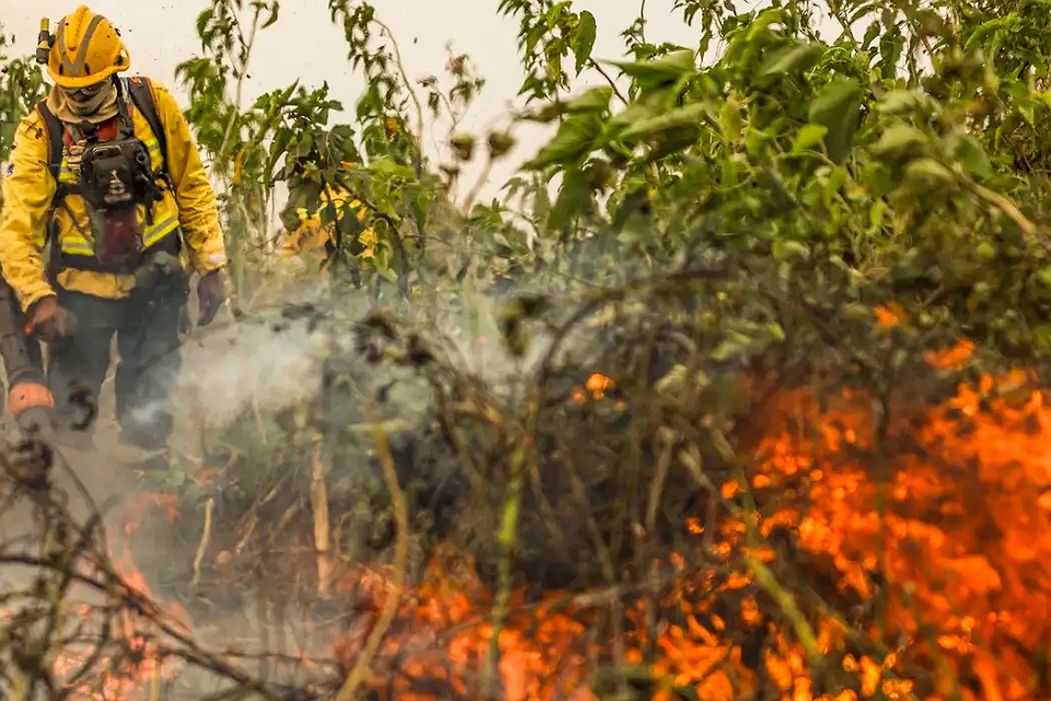 Brasil já registrou mais de 154 mil focos de calor este ano