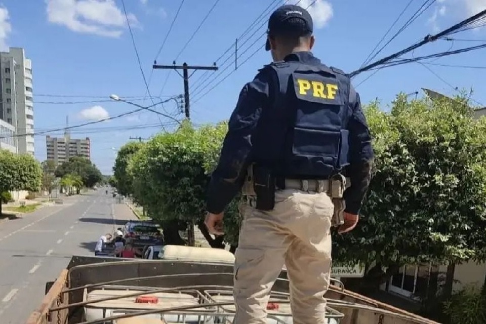 A PRF desencadeou uma Operação que tinha como foco o Combate aos Crimes Ambientais