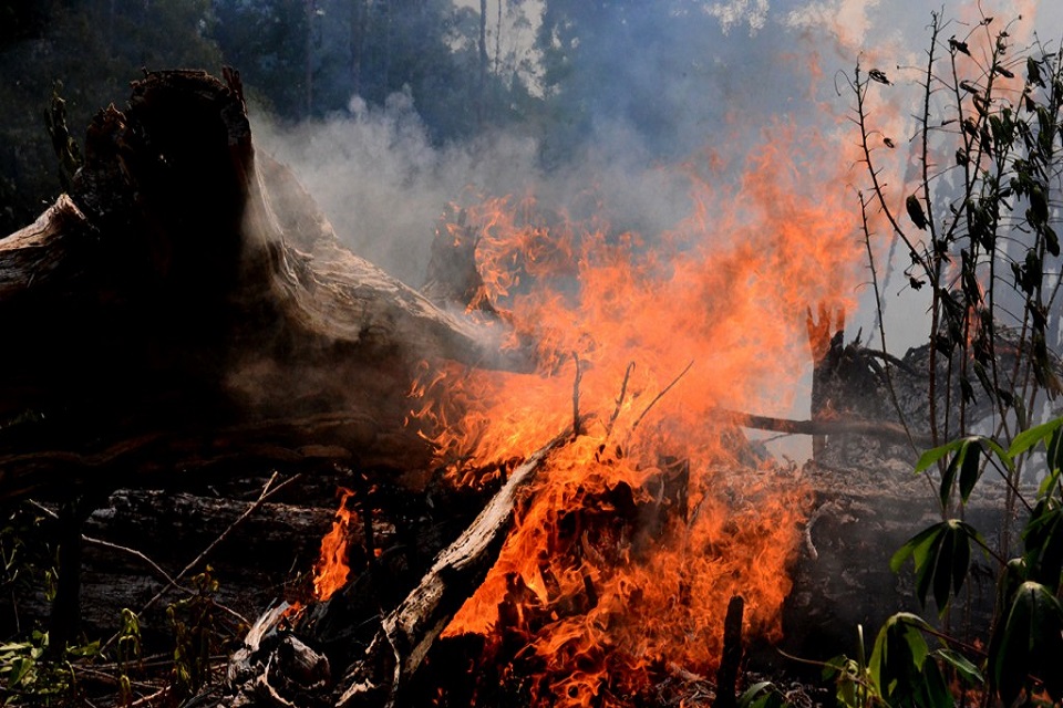 Queimadas e desmatamento são responsáveis por aumento de focos de calor em Rondônia