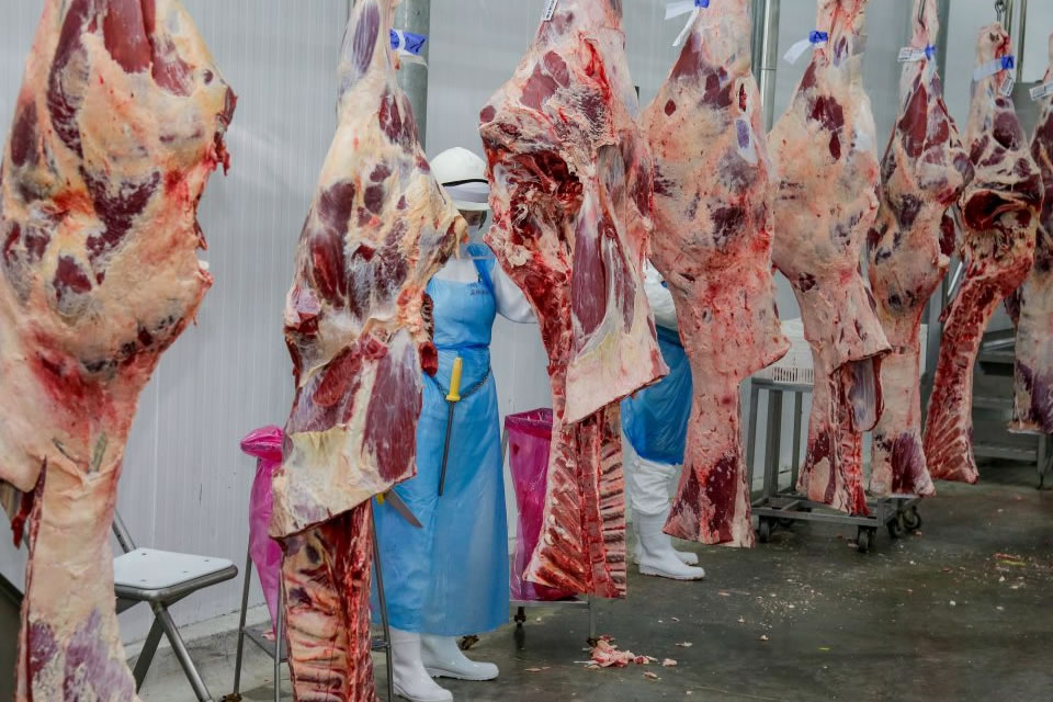 Reunião discute viabilizar a exportação da carne bovina de Rondônia pelo rio Madeira