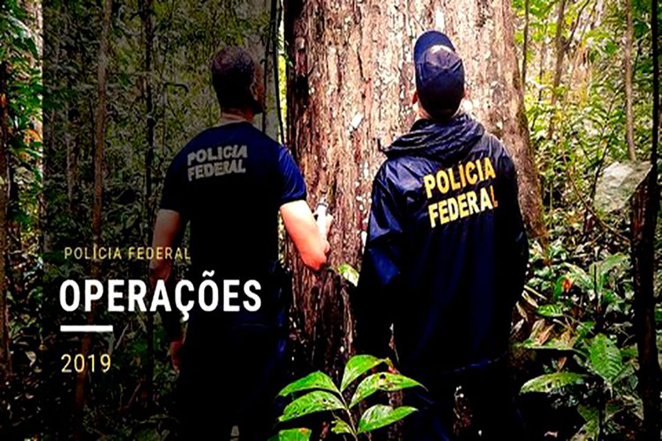 PF realiza operação contra extração e comércio ilegal de madeira em RO