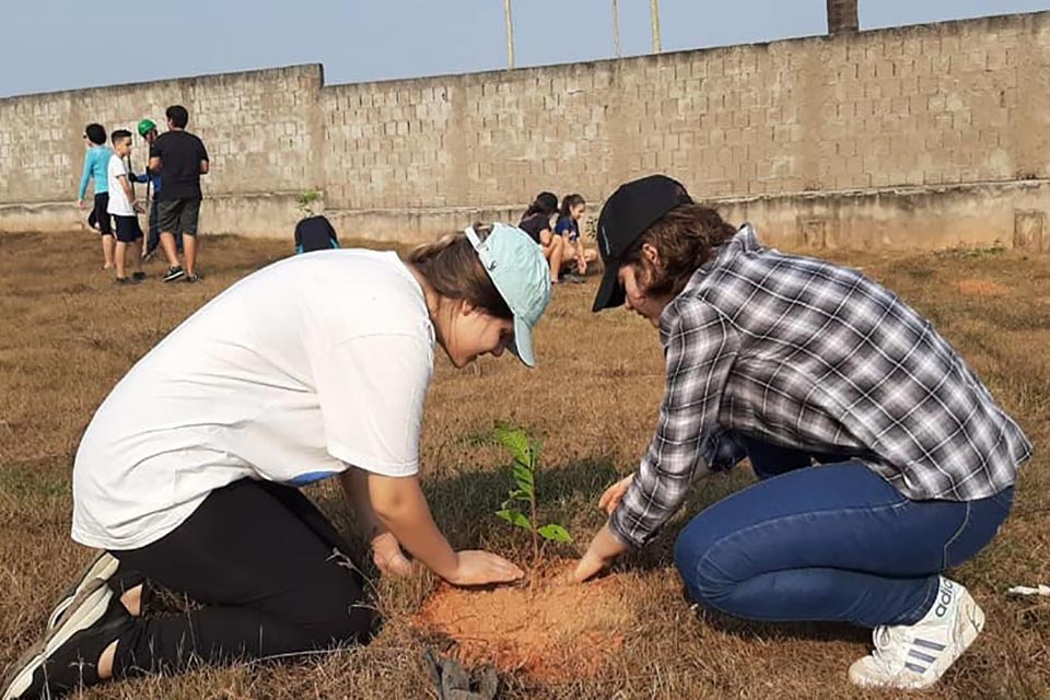 Prefeitura faz plantio de árvores no Residencial Rondon I