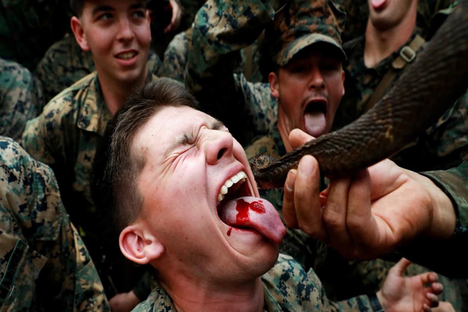 Refeição militar na Tailândia tem sangue de cobra e arroz em camisinha