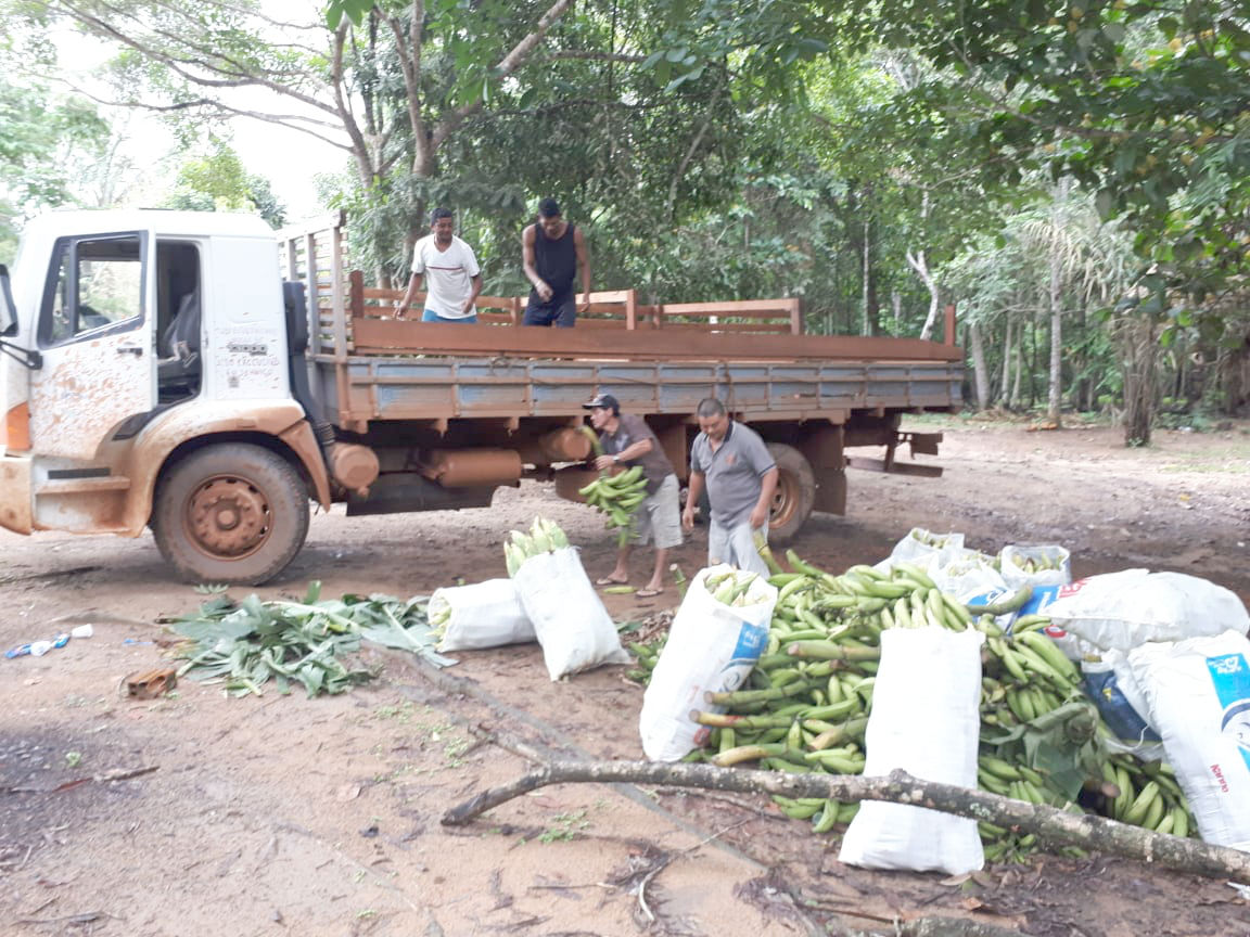 Prefeitura de Porto Velho transporta cerca de 100 toneladas de produção agrícola por mês