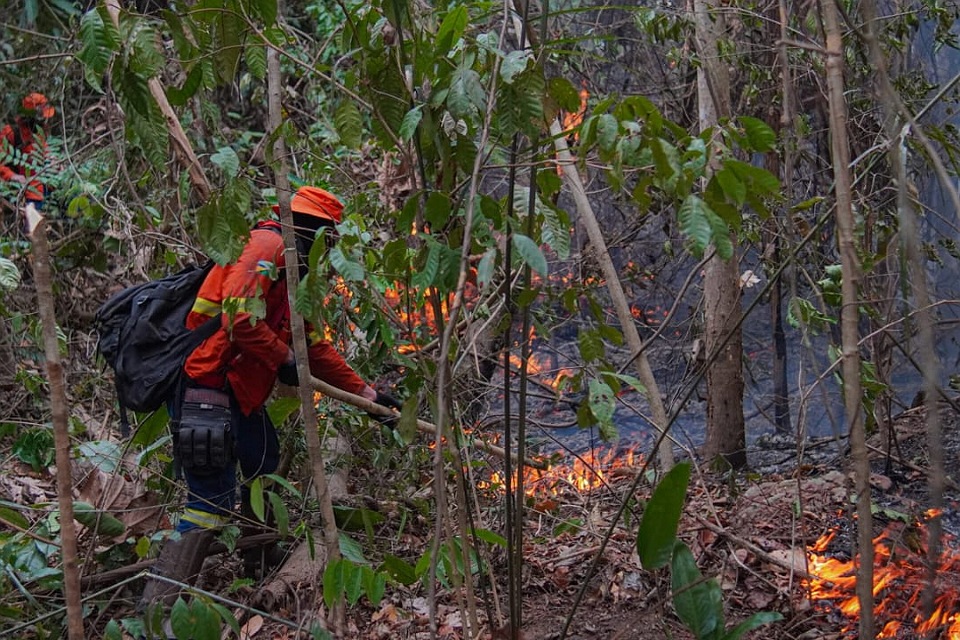 Combate a incêndio é contínuo no Parque Guajará-Mirim e na região Soldado da Borracha, mesmo com dificuldade de acesso