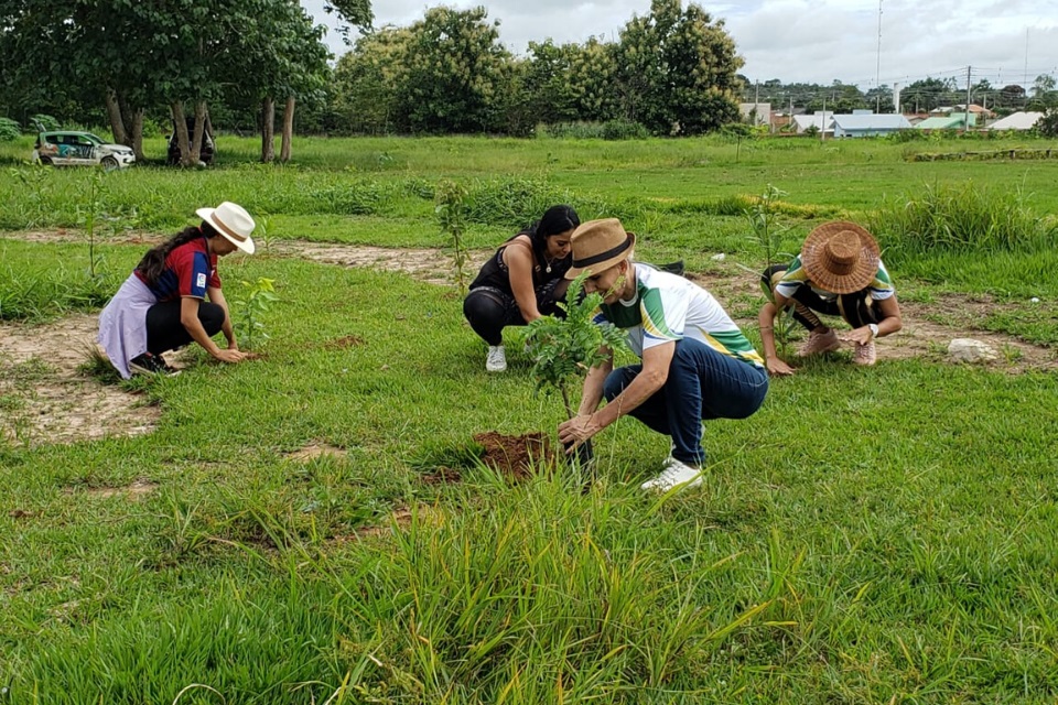 Parceria resulta em plantio de 283 mudas de árvores em Ji-Paraná