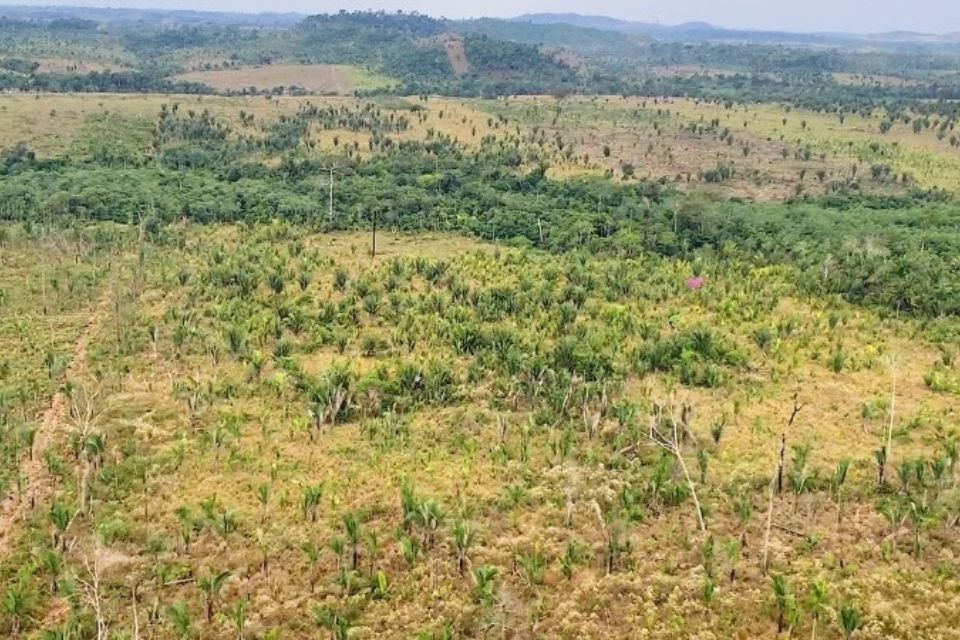 Ministério Público obtém reconhecimento da ilegalidade de associações de produtores rurais em Nova Mamoré e Guajará-Mirim