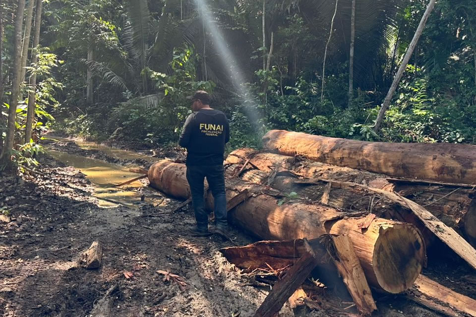 PF deflagra operação em combate aos crime ambientais na reserva indígena Igarapé Lage/RO