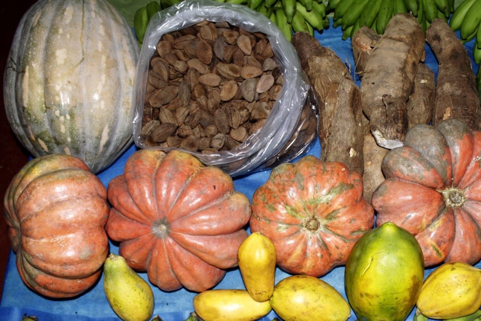 Programa de Alimentação Escolar investe mais de R$ 3 milhões em compras, incluindo peixes, no município de Porto Velho