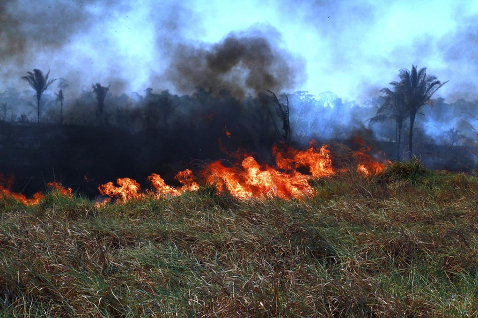 Operação Jequitibá: Equipes atuarão em áreas em Rondônia que apresentam maior incidência de focos de calor e incêndios