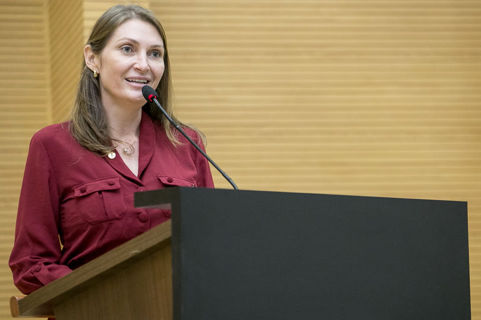 Brasil/Bolívia - Deputada Lebrinha promove reunião com parlamentares bolivianos para debater interesses comuns dos dois países