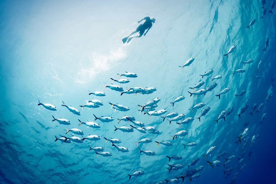 Pioneiro dos fundos oceânicos Don Walsh nunca tirou os olhos do mar