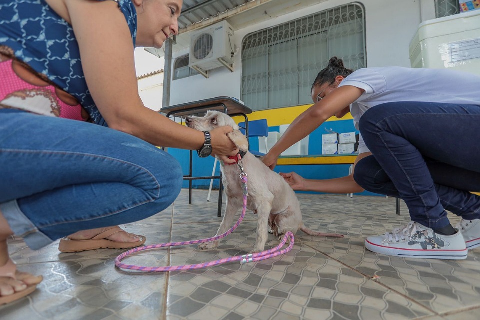 Semusa mantém Dia D de Vacinação Antirrábica, apesar da recomendação de suspensão de eventos externos