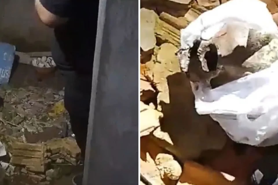 Crânio humano é encontrado em despacho dentro de casa abandonada em Porto Velho