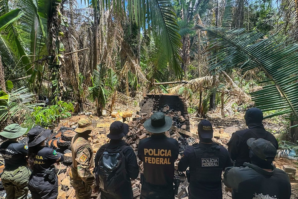 PF deflagra operação em combate a crimes ambientais em Rondônia