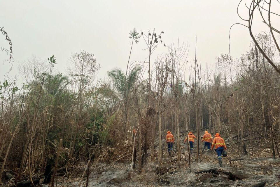 Após solicitação de Cláudia de Jesus, governo vai contratar bombeiro civil para combater incêndios