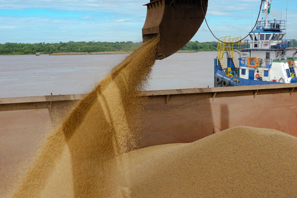 Porto Velho lidera a produção de soja em Rondônia e se consolida como nova fronteira agrícola