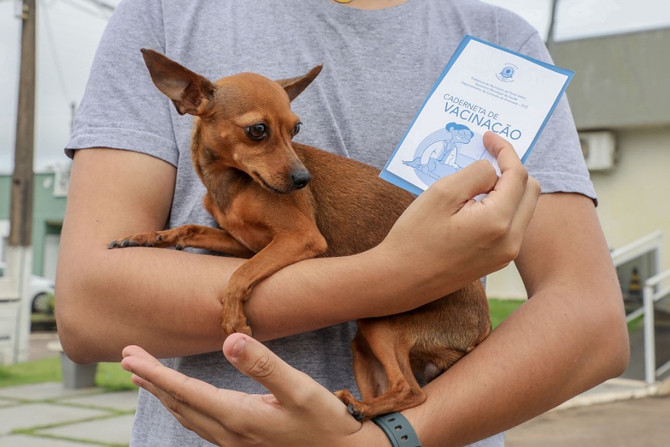 Dia D de Vacinação antirrábica para cães e gatos acontece em 100 pontos de Porto Velho