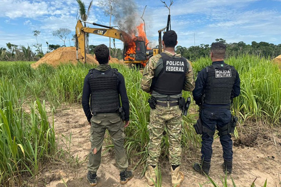 PF deflagra a Operação Andyrá em combate a crimes ambientais em Rondônia