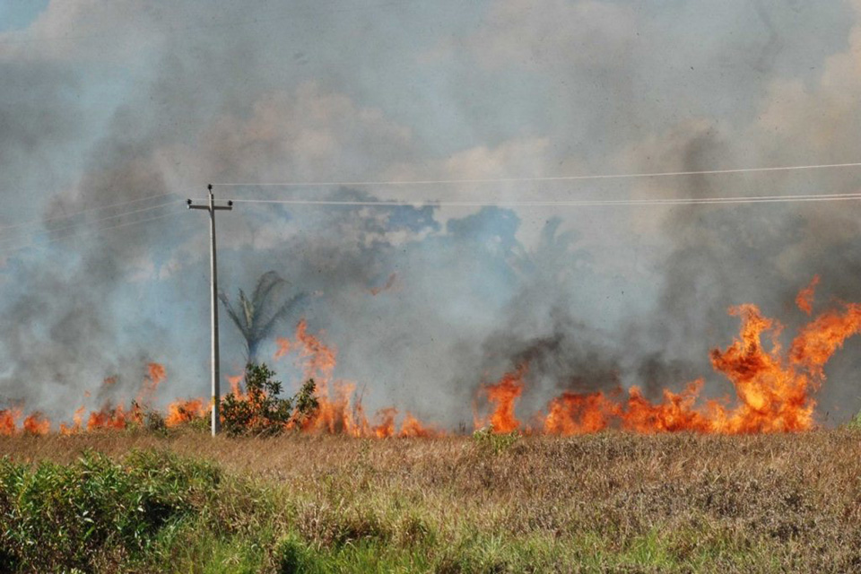 Porto Velho é palco de protesto contra aumento do desmatamento e queimadas na Amazônia