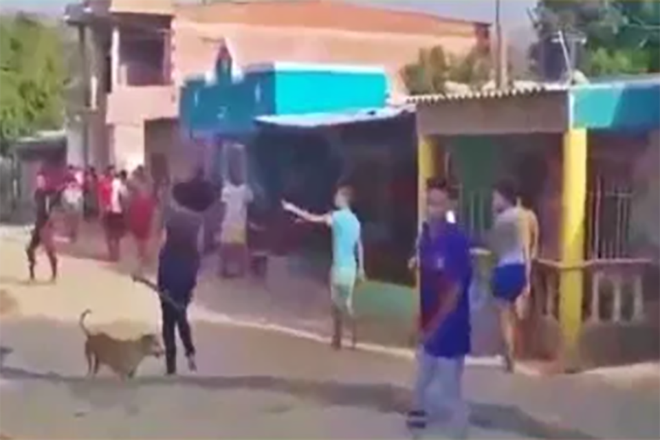 Mulher muda a senha do Wi-Fi e provoca a ira dos vizinhos, que apedrejaram sua casa; Veja o vídeo 