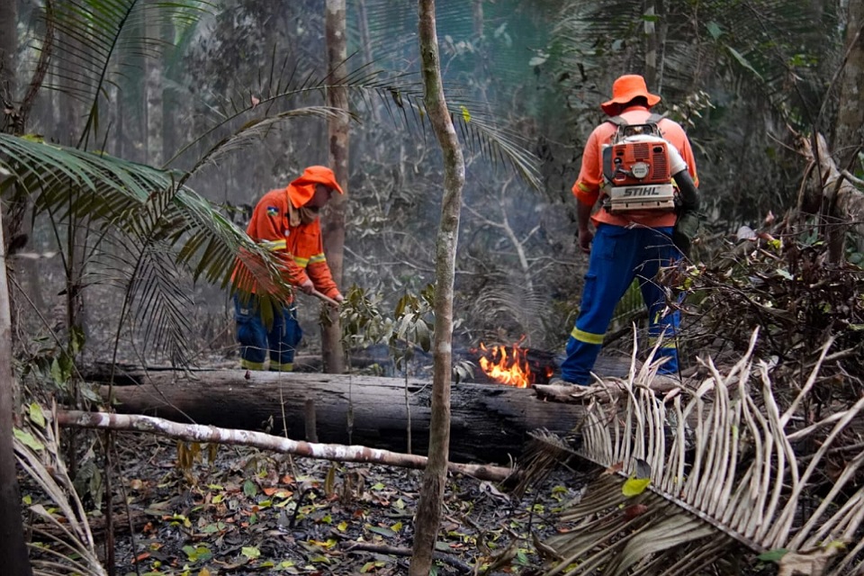 Pontos de reignição de incêndio são combatidos no Parque Estadual Guajará-Mirim