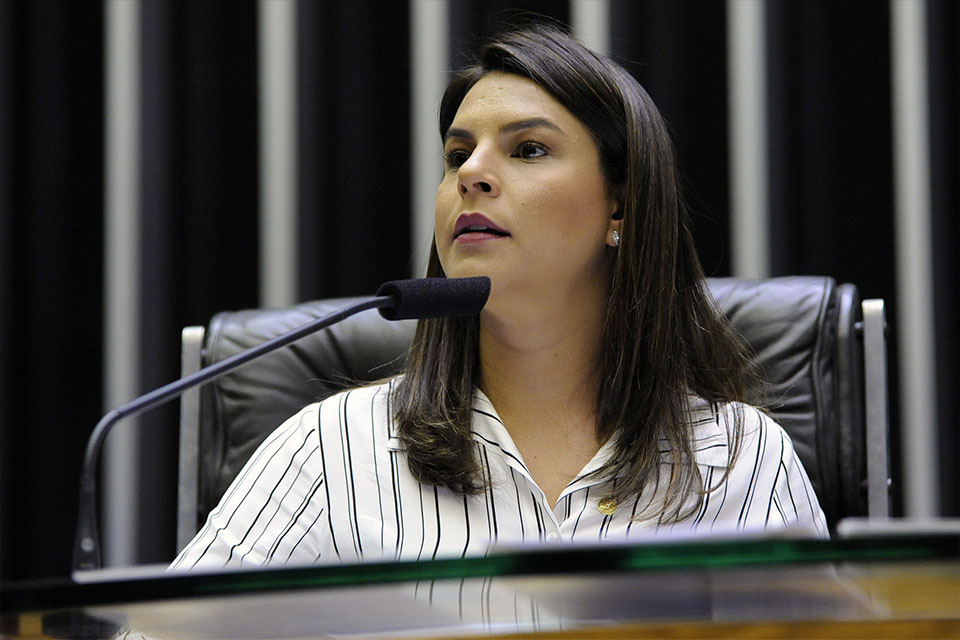 Projeto de Mariana Carvalho amplia atendimento de  mulheres grávidas pelo SUS   