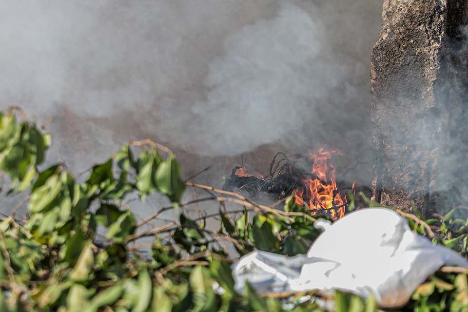 Confira recomendações profissionais para minimizar efeitos do calor extremo e do ar poluído pela fumaça