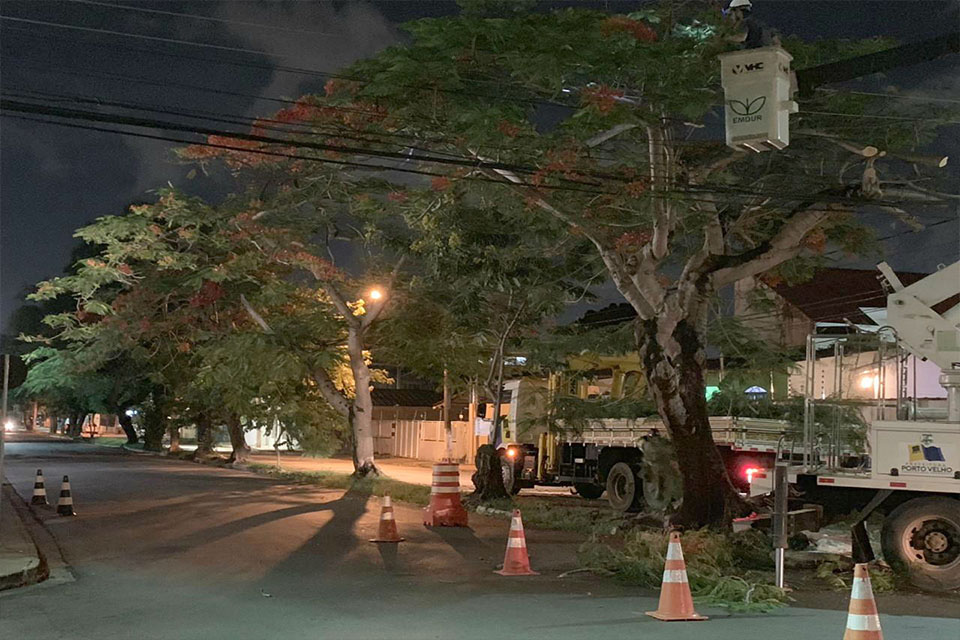 Poda de árvores deixa a rua José Camacho menos poluída e mais iluminada