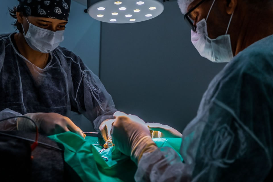 Prefeitura de Porto Velho divulga resultado preliminar de seleção para serviços veterinários