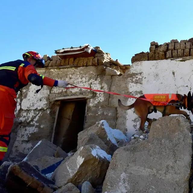 Terremoto no Tibete deixa pelo menos 16 pessoas mortas