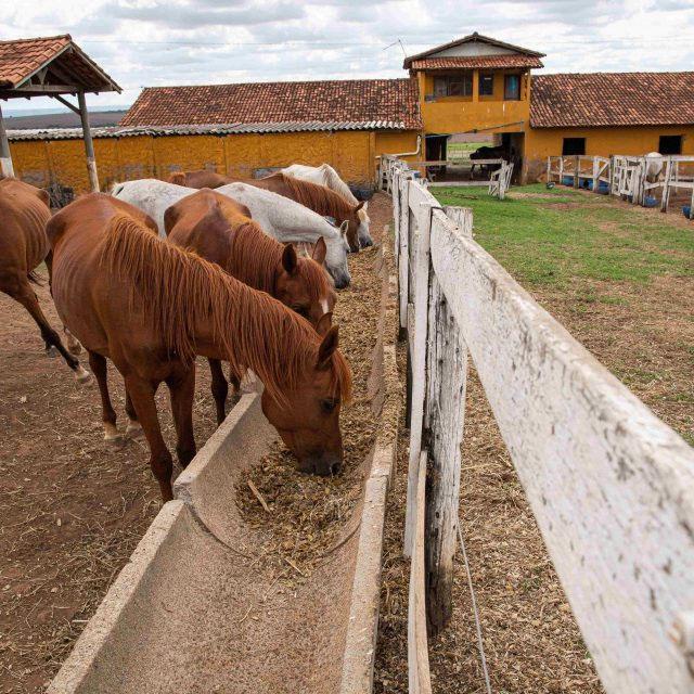 Sistema Faperon destaca os benefícios da nova Lei Geral do Turismo para produtores rurais e o setor agropecuário