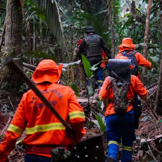 Rondônia constrói cenário mais seguro e preparado para combate a incêndios florestais em 2025