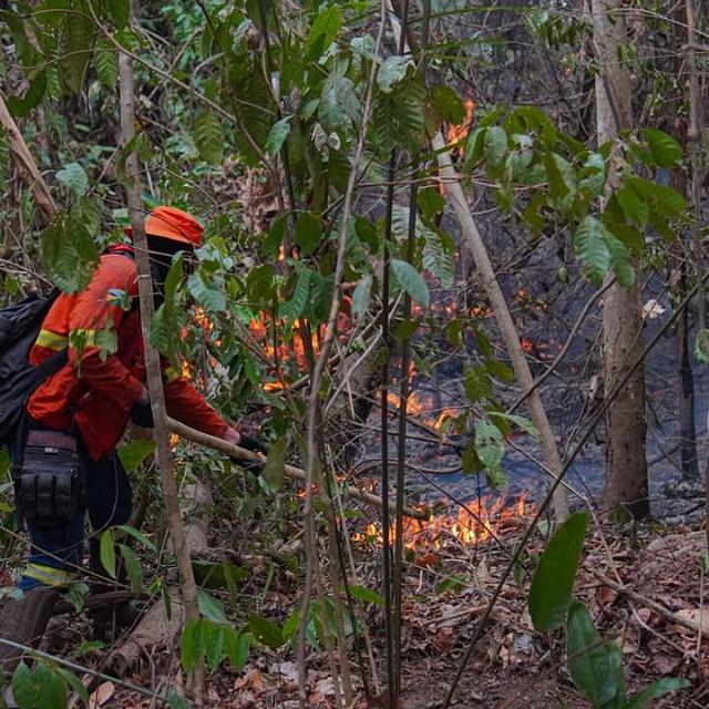 Combate a incêndio é contínuo no Parque Guajará-Mirim e na região Soldado da Borracha, mesmo com dificuldade de acesso