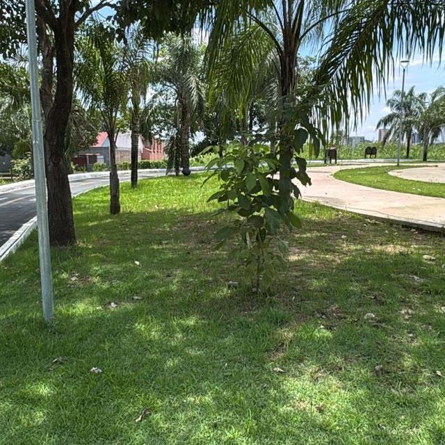 Prefeitura de Porto Velho anuncia reabertura do Parque da Cidade para o dia 15 de fevereiro