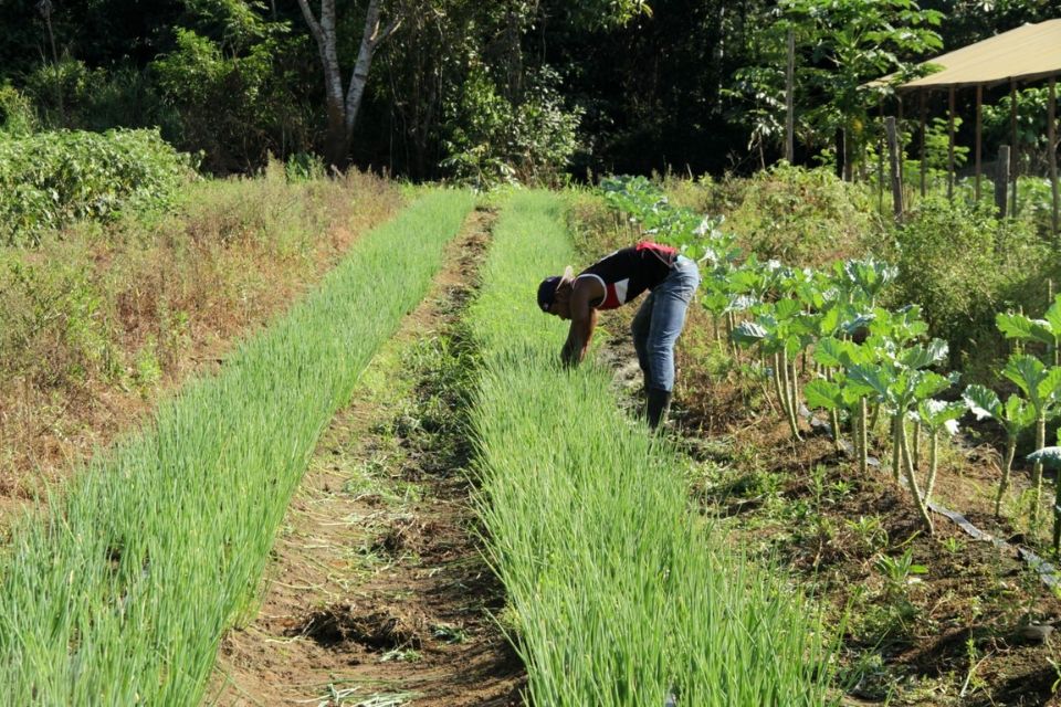 Investimento para o Campo: Deputado Alan Queiroz destina R$ 70 mil para aquisição de Implementos Agrícolas em Alvorada do Oeste