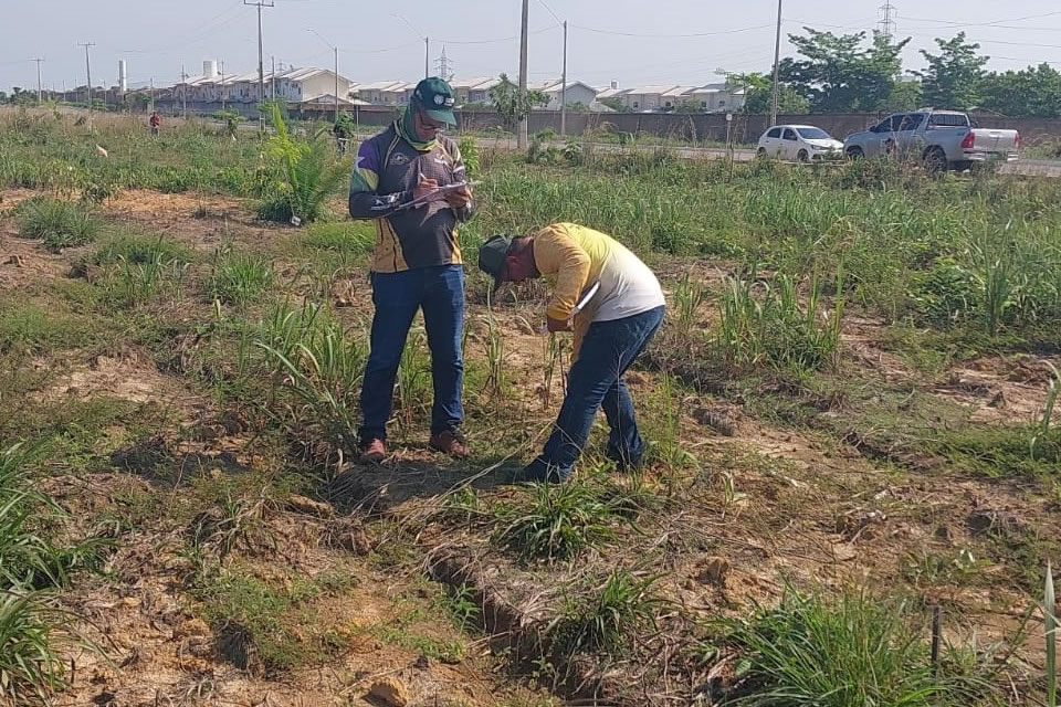 Município intensifica recuperação de áreas degradadas e plantio de mudas para fortalecer a sustentabilidade urbana