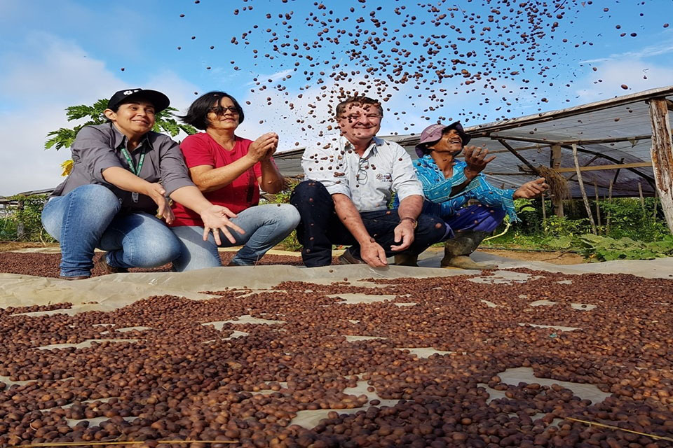 Governo incentiva plantio de café clonal em Vilhena e no Cone Sul