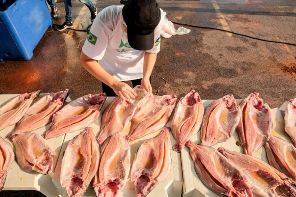 Para fortalecer as exportações, Governo de RO apresenta Tambaqui nos Estados Unidos da América