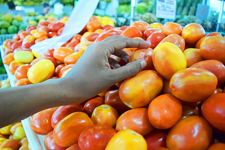 Preço do tomate aumenta 34% em um mês e cesta básica chega a R$ 382,91 em Porto Velho