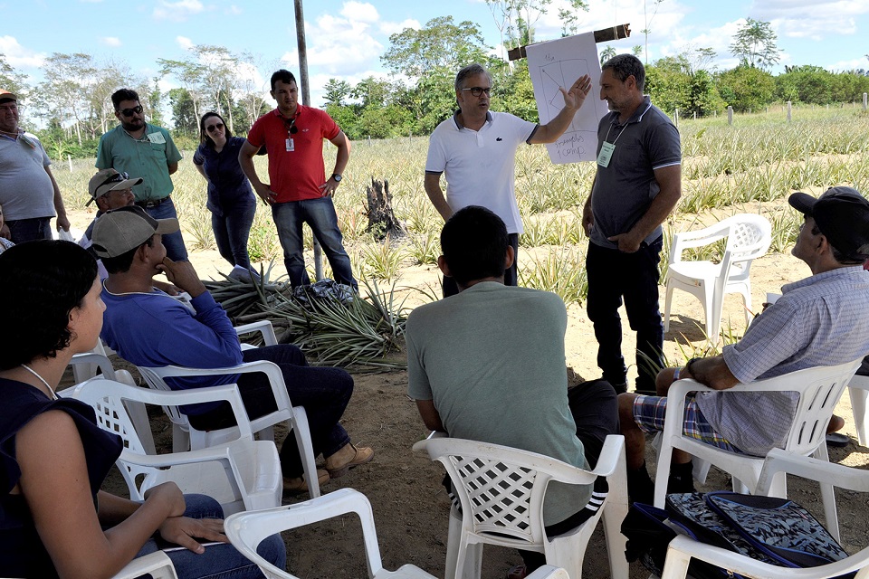 Geraldo da Rondônia prestigia Dia de Campo do Abacaxi em Cujubim