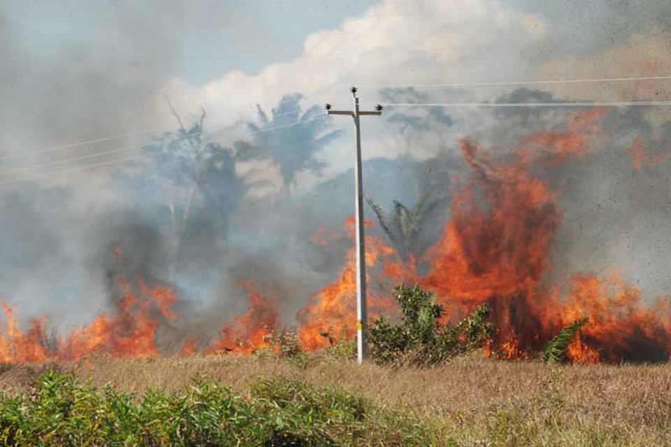 Campanha alerta sobre danos causados pelas queimadas 